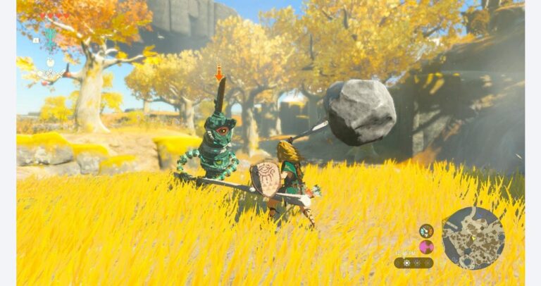 The-Legend-of-Zelda-Tears-of-the-Kingdom---Nintendo-Switch